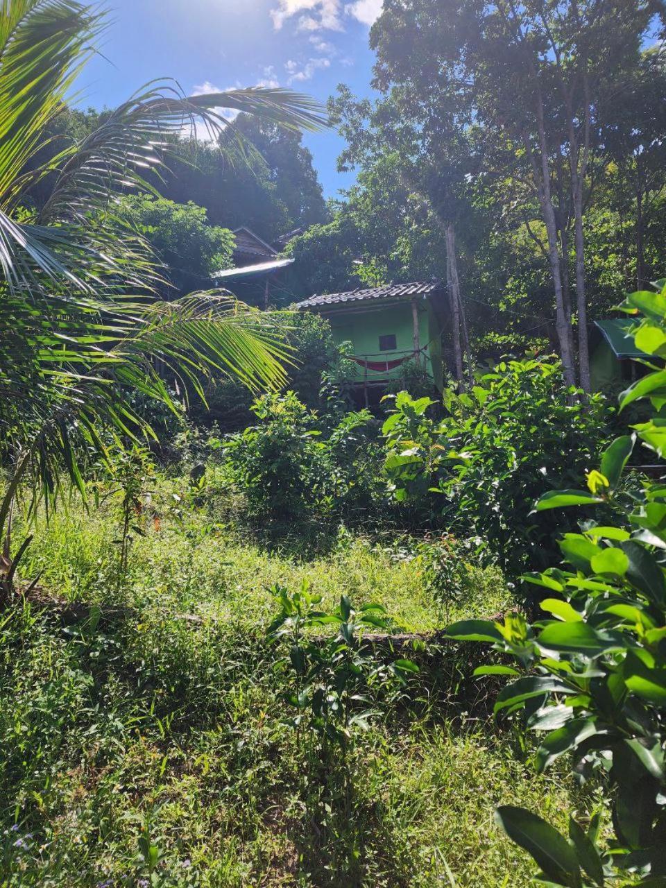 Sweet Jungle Tents Kaoh Touch Exterior foto